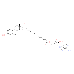 ChemSpider 2D Image | 5'-O-{12-[(16beta,17beta)-3,17-Dihydroxyestra-1,3,5(10)-trien-16-yl]dodecanoyl}adenosine | C40H57N5O7