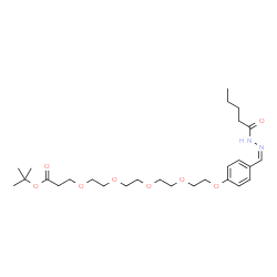 ChemSpider 2D Image | 2-Methyl-2-propanyl 1-{4-[(Z)-(pentanoylhydrazono)methyl]phenoxy}-3,6,9,12-tetraoxapentadecan-15-oate | C27H44N2O8