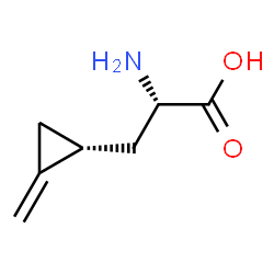 ChemSpider 2D Image | hypoglycin A | C7H11NO2