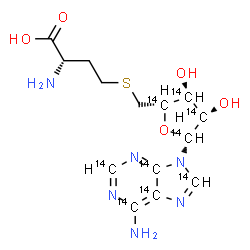 ChemSpider 2D Image | (2S)-2-Amino-4-({[(2S,3S,4R,5R)-5-[6-amino(~14~C_5_)-9H-purin-9-yl]-3,4-dihydroxy(~14~C_4_)tetrahydro-2-furanyl]methyl}sulfanyl)butanoic acid | C514C9H20N6O5S