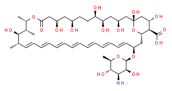 Anfotericina B, para uso en medios de cultivo
