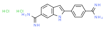 4',6-Diamidino-2-fenilindol dihidrocloruro