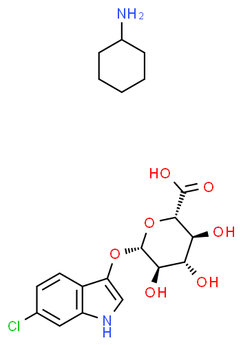 6-Chloro-3-indolyle-β-D-glucuronide sel avec cyclohexylamine