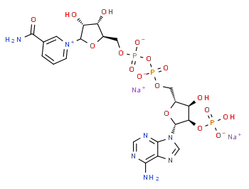 ß-Nicotinamide adenine dinucleotide phosphate disodium salt