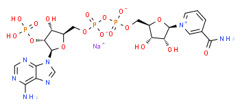 β-Nicotinamida adenina dinucleótide fosfato sal sódica hidrato
