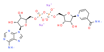 β-Nicotinammide adenina dinucleotide, sale disodico ridotto