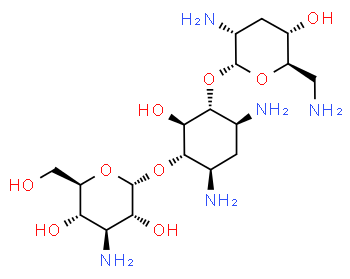 Tobramycin, for culture media use