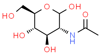 N-Acétyl-D-glucosamine