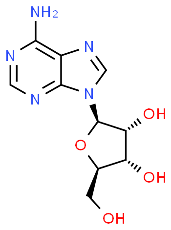 Adenosina, USP