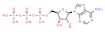 Adenosina 5'-trifosfato