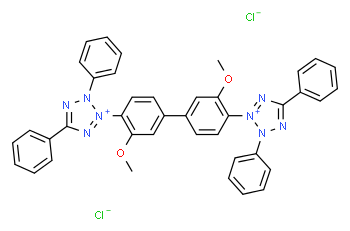 Azul de tetrazolio cloruro
