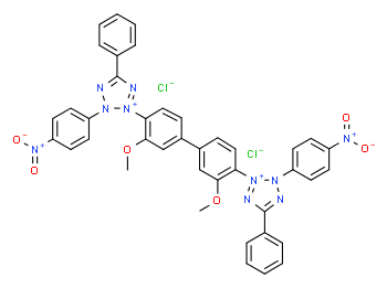 Nitro blue tetrazolium